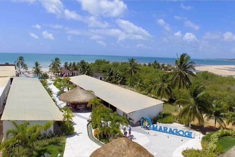 Excursão a Maragogi - Mergulhe nas Águas Cristalinas!