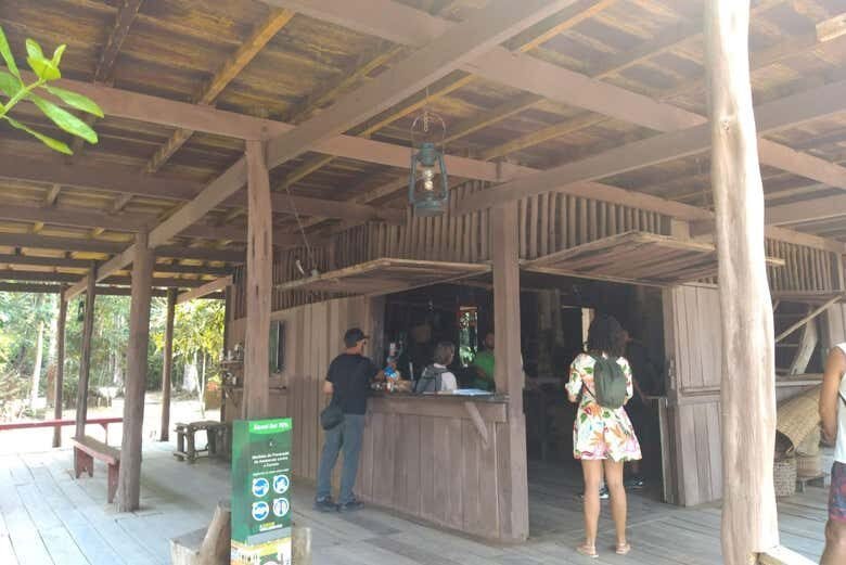 Descubra a História da Borracha em um Fascinante Tour pelo Museu do Seringal!