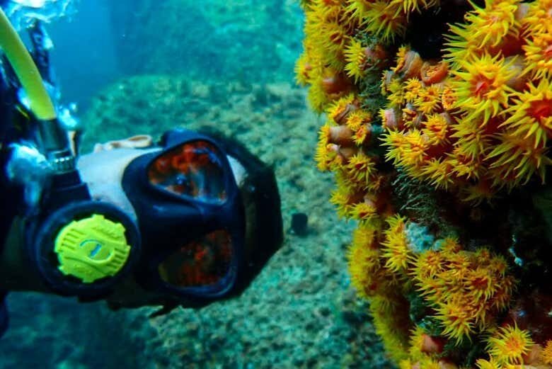 Curso de Mergulho NAUI Open Water em Ilhabela: Conquiste seu Certificado Internacional!