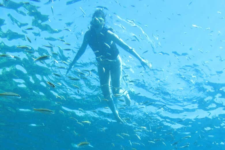 Explore as Piscinas Naturais de Fernando de Noronha com Snorkel!