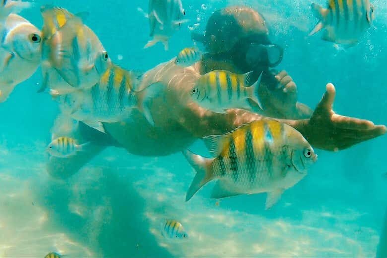 Ponta do Seixas & Piscinas Naturais: no Extremo Oriental das Américas!