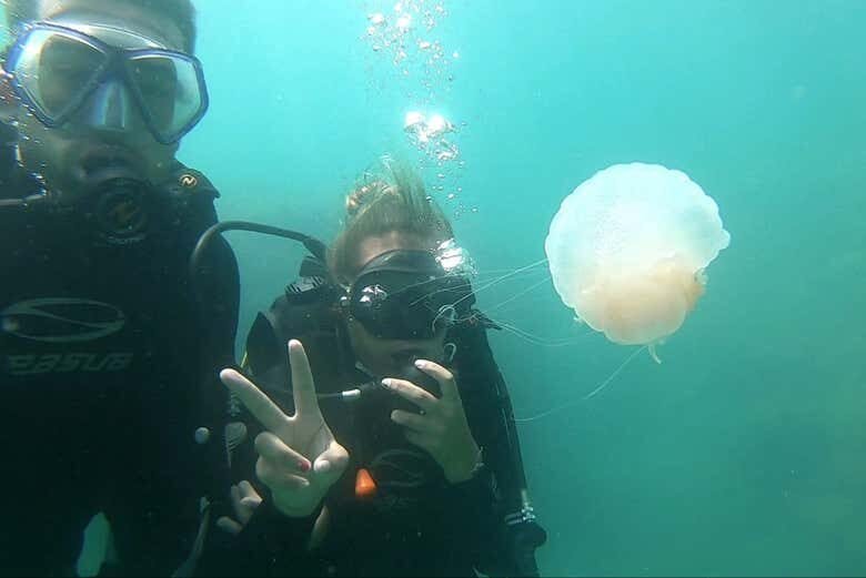 Experiência Inesquecível: Batismo de Mergulho em Ubatuba!