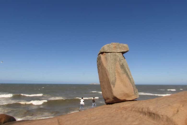 Avistamento de Botos-Pescadores em Laguna!