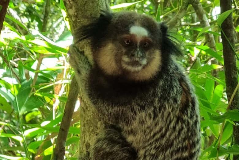 Trilha Noturna da Lagoinha do Leste com Nascer do Sol!