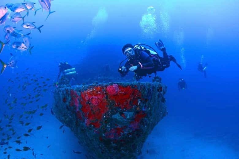 Desvende as Profundezas de Fernando de Noronha com Mergulhos Incríveis!
