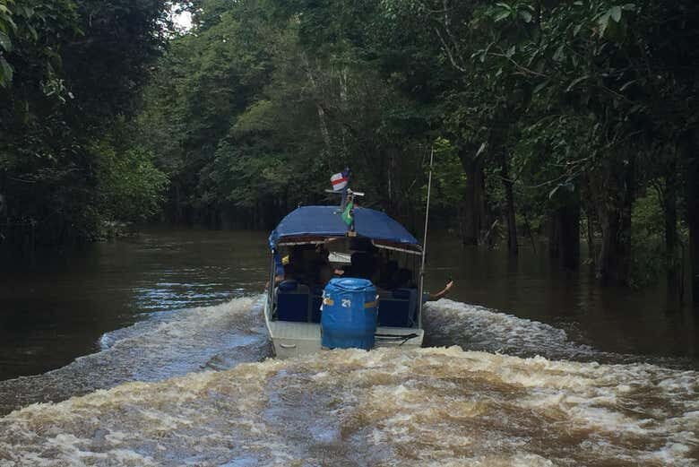 Explore Manaus: Cultura e Natureza em um Único Passeio!