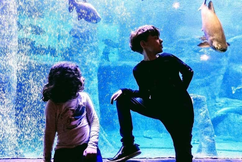 Aventura Subaquática: Vivencie o Aquário de São Paulo de Perto!