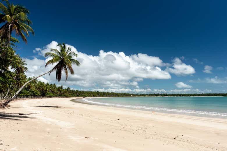 Passeio Privado de Lancha por Morro de São Paulo!