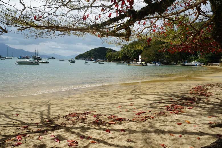 Aventuras no Paraíso: Descubra a Ilha Grande com Trilha e Praias de Encantar!
