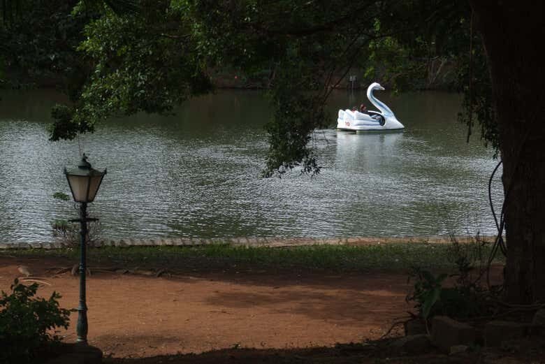 Explore As Maravilhas de Atibaia com Nosso Tour Incrível!