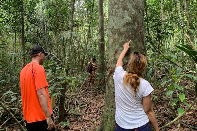 Desvende os mistérios da Floresta Amazônica com um passeio incrível de 12 horas!