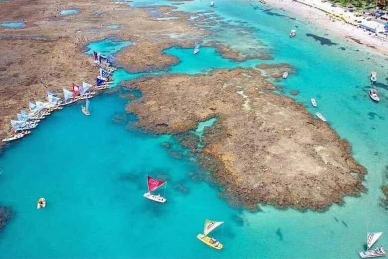 Voe alto e descubra as maravilhas de Porto de Galinhas do céu!