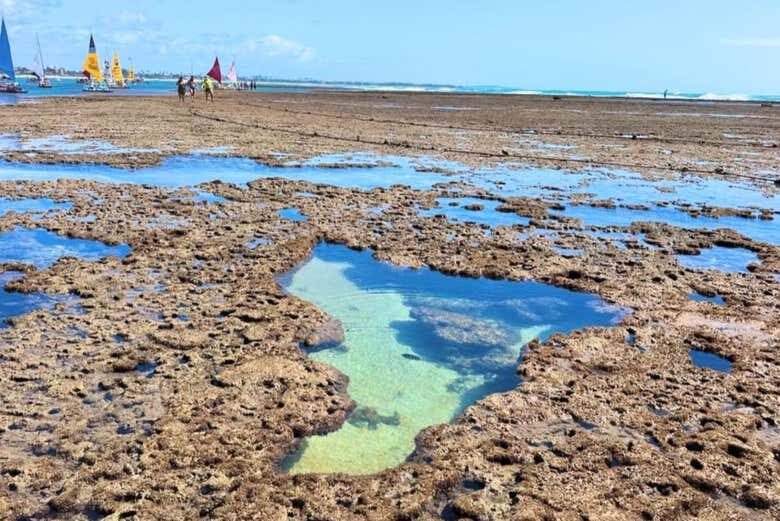 Passeio de Jangada em Porto de Galinhas: Explore as Belezas Naturais!
