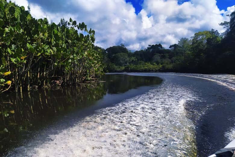 Passeio de Lancha pelo Rio João de Tiba: Uma Aventura Natural na Bahia!