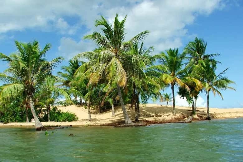 Excursão ao Rio São Francisco com Saída de Aracaju!