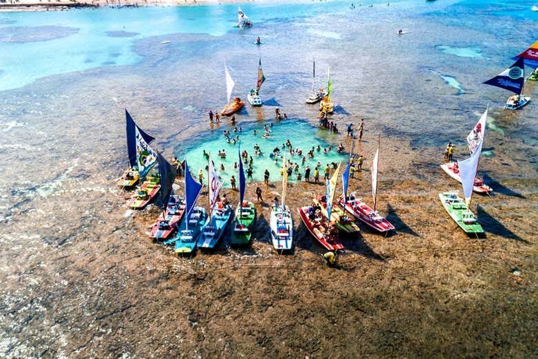 Excursão Incrível a Porto de Galinhas: Praias Paradisíacas em Pernambuco!