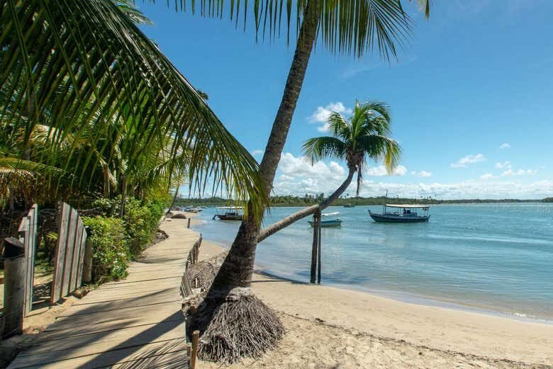 Descubra o Paraíso: Excursão à Praia Boca da Barra em Boipeba!