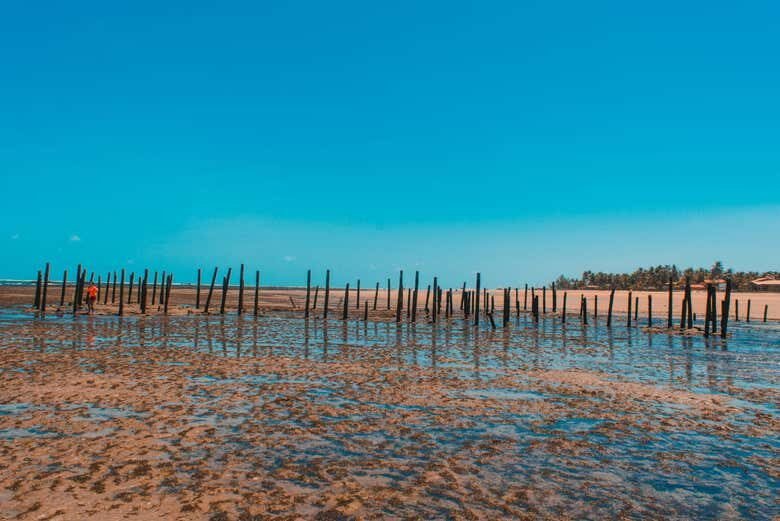 Experiências Privadas no Ceará: Explore o Melhor de Fortaleza e Arredores!