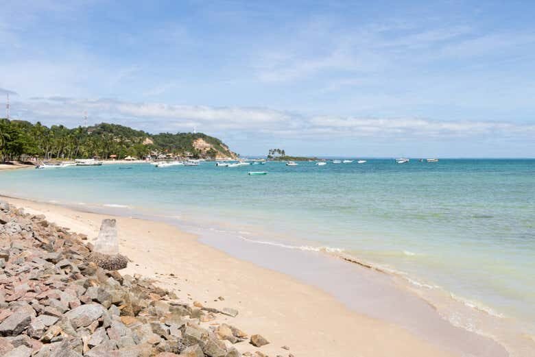 Passeio a Cavalo pela Ilha de Tinharé: Aventura e Beleza Natural em Morro de São Paulo!