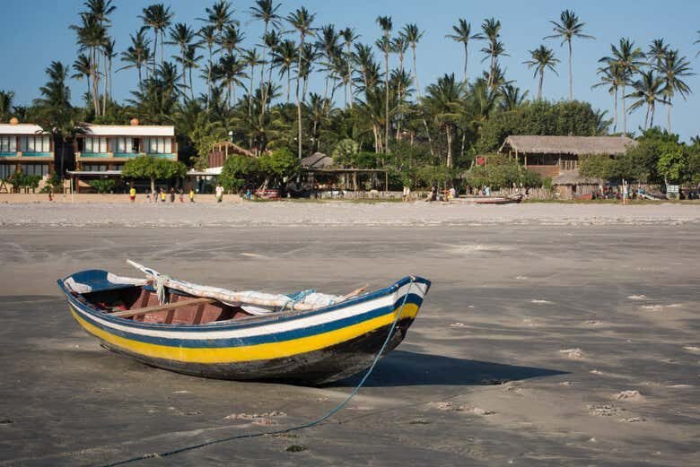 Aventura no Oeste de Jeri: Manguezais, Dunas e Lagoas de Tatajuba!