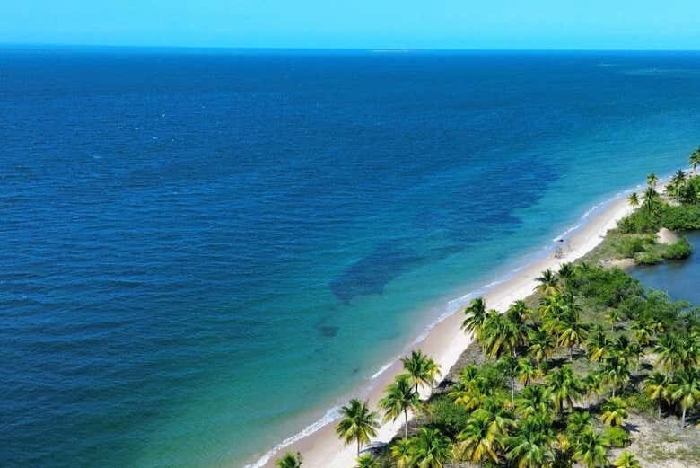 Excursão Incrível a Taipu de Fora e Ilhas Paradisíacas!