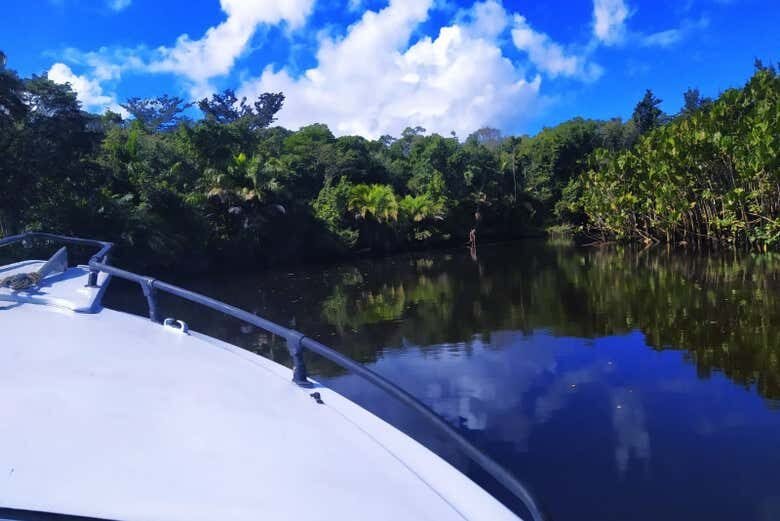 Passeio de Lancha pelo Rio João de Tiba: Uma Aventura Natural na Bahia!
