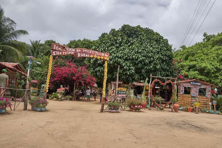 Aventura Imperdível de Buggy pelo Litoral Sul da Paraíba: Praias de Encantar!