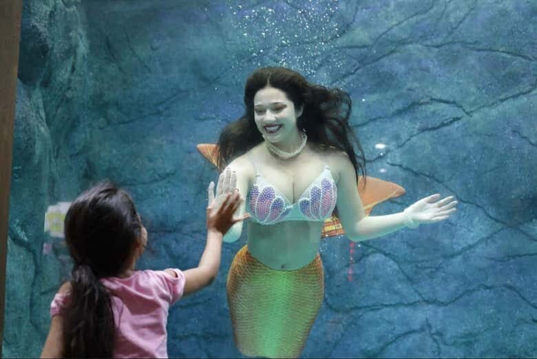 Aventura Subaquática: Vivencie o Aquário de São Paulo de Perto!