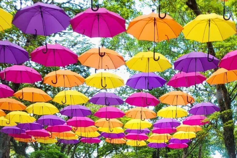 Exploração Privada de Holambra: Descubra a Cidade das Flores com Exclusividade!