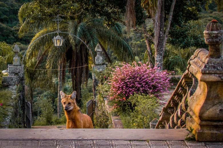 Explore o Magnífico Santuário do Caraça: Aventura e Beleza Natural em Minas Gerais!