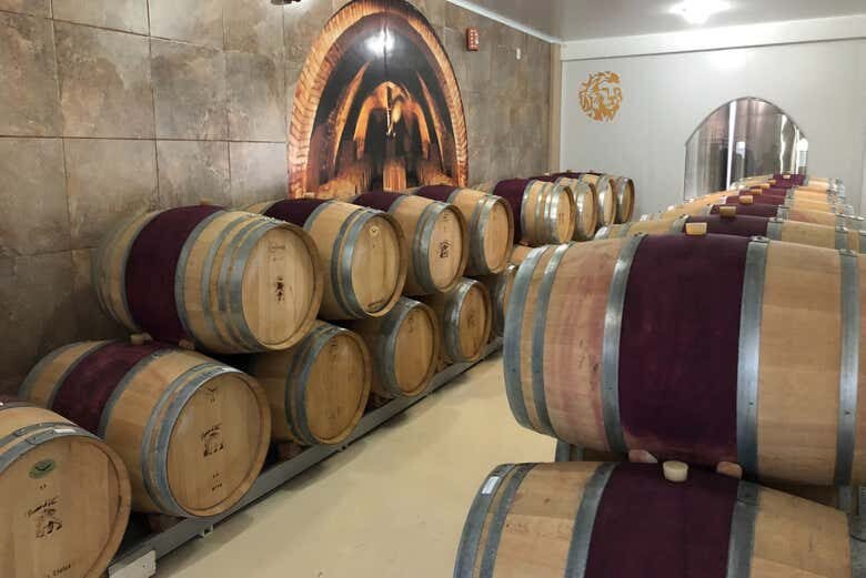 Tour do Vinho em São Joaquim: Degustação, Almoço Harmonizado e Vinícolas de Altitude!