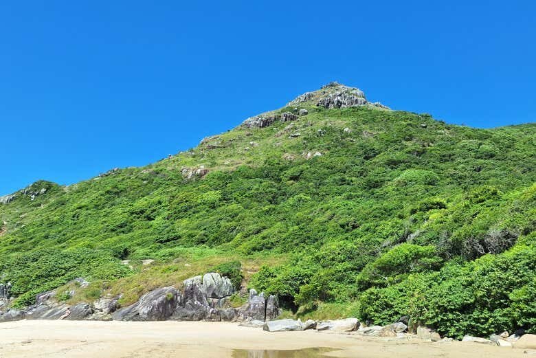 Trilha Armação – Pântano do Sul!