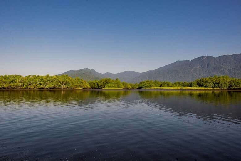Aventura na Trilha da Cachoeira da Torre 47 em Bertioga!