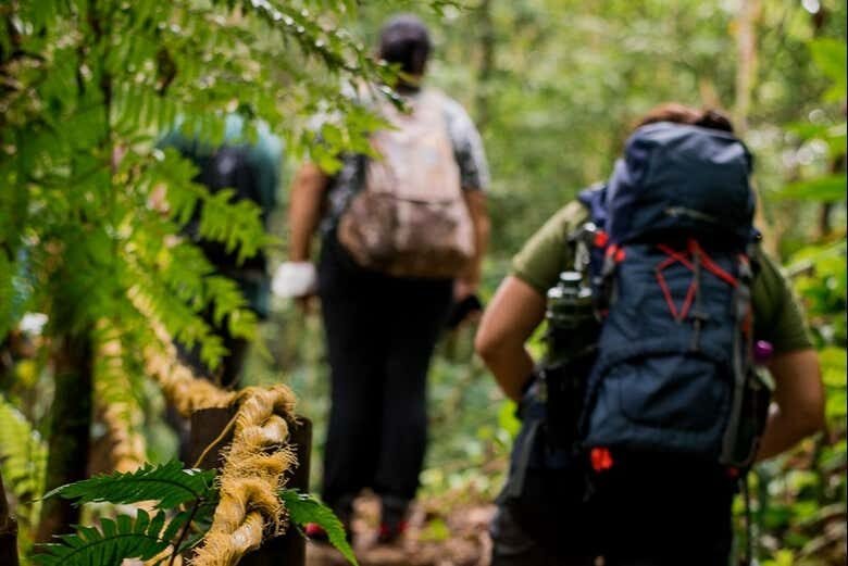 Trilha até a Cachoeira do Guaratuba: Aventure-se na Natureza Selvagem!