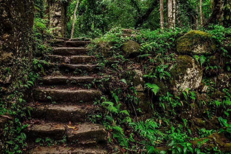 Explore as Ruínas da Lagoinha em Ubatuba: Uma Trilha Repleta de História e Natureza!