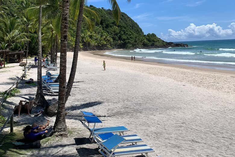 Exploração Paradisíaca em Itacaré: Praias e Cachoeira!