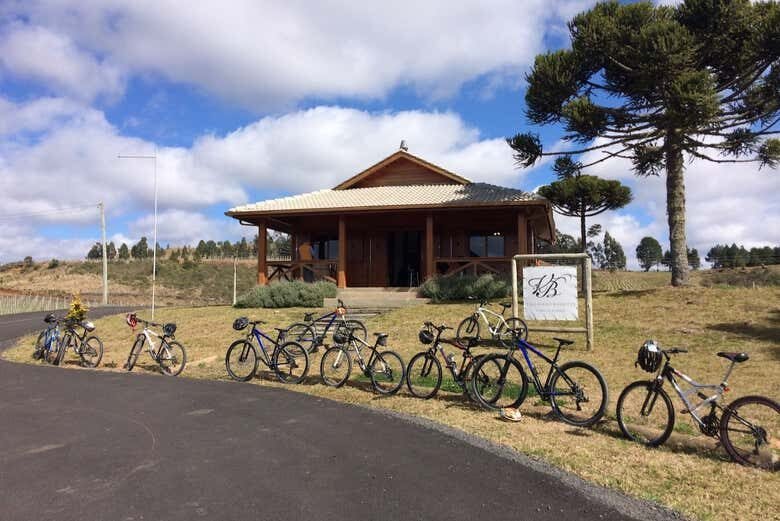Pedalando Entre Vinhedos: Tour de Bicicleta na Villaggio Bassetti com Degustação