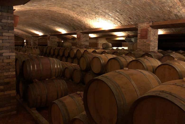 Tour do Vinho em São Joaquim: Degustação, Almoço Harmonizado e Vinícolas de Altitude!