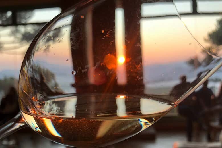 Tour do Vinho em São Joaquim: Degustação, Almoço Harmonizado e Vinícolas de Altitude!