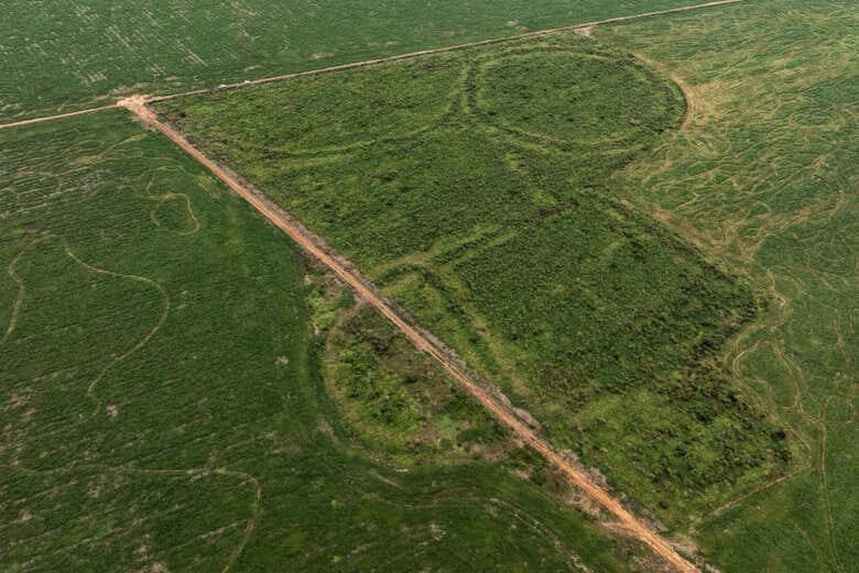 Descubra os Enigmáticos Geóglifos de Jacó Sá no Acre!