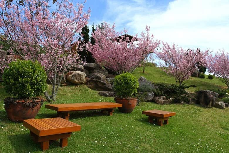 Tour ao Entardecer pelo Prana Park!