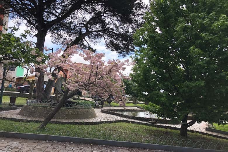 Tour Completo por São Joaquim: História, Cultura e Vinhos!