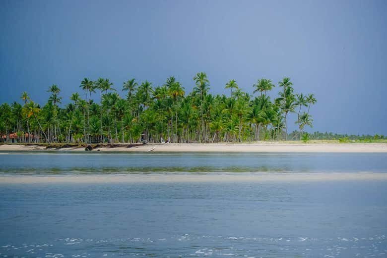 Descubra o Paraíso: Excursão à Praia Boca da Barra em Boipeba!