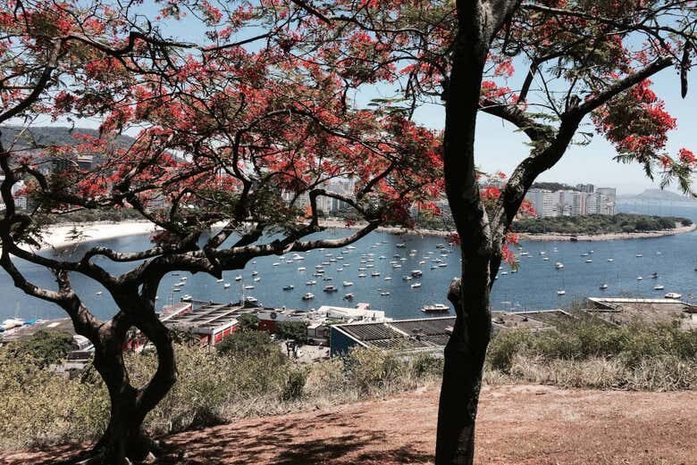 Tour da Cultura Judaica pelo Rio de Janeiro: Descubra os Segredos da Comunidade Hebraica