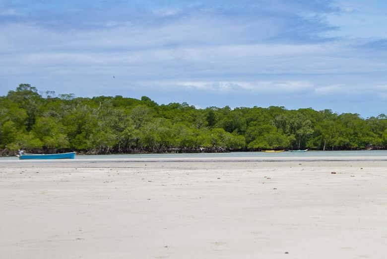 Descubra o Paraíso: Excursão à Praia Boca da Barra em Boipeba!