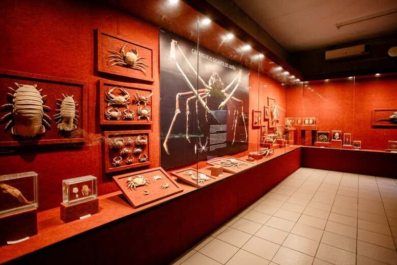 Uma viagem ao fundo do mar no Museu Oceanográfico Univali!