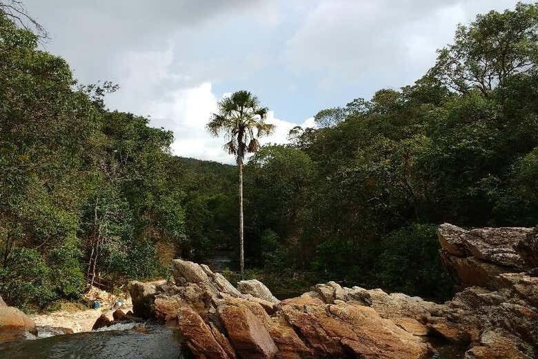 Exploração pelas Cachoeiras do Coqueiro e da Garganta: Natureza Pura em Pirenópolis!