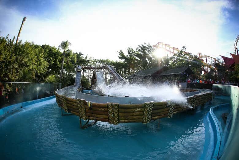 Excursão ao Beto Carrero World com Saída de Curitiba!