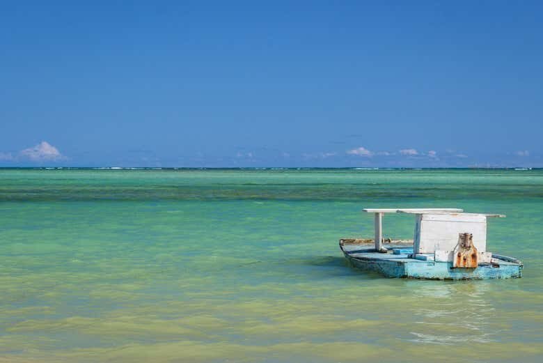 Descubra as Belezas de São Miguel dos Milagres com Tour Personalizado!