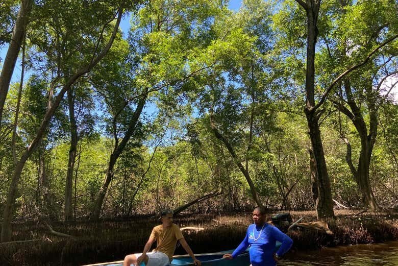 Explore as Belezas Naturais: Tour pelo Pontal da Barra e Lagoas Mundaú e Manguaba